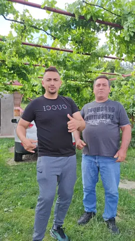 A post by @petcuflorin1 on TikTok caption: #faloow #fyp #fy 