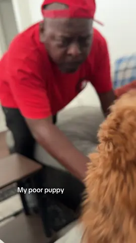 A post by @simplykamarea on TikTok caption: ik he scared #fyp 