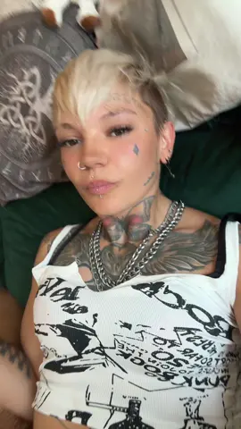 A post by @bauer_eule on TikTok
