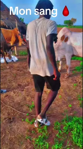 A post by @magassa.magassa03 on TikTok caption: @Tonton chée🇲🇱🇫🇷 @sirakoulle papa🇲🇱💍🇲🇫🔐💘 @Douc chee🇫🇷@2Boura @Seyba Mamadou 🐅🇲🇱🇨🇩 