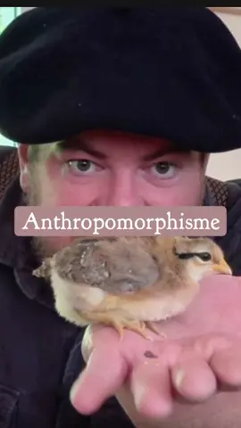 A post by @le.grand.gaulois on TikTok caption: Trop d’anthropomorphisme tue  #terroir #peche #nature #animalisme 