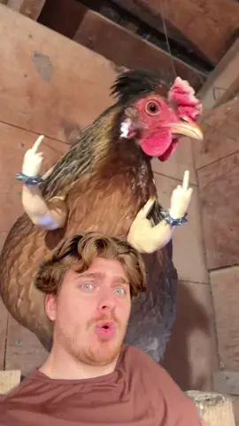 A post by @cyrilschr on TikTok caption: 😂😂😂
