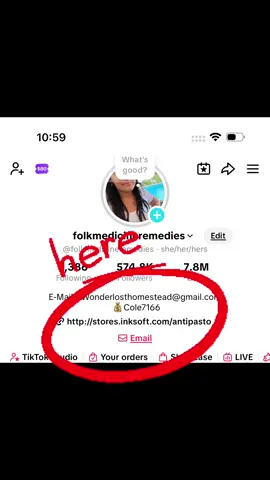 A post by @folkmedicineremedies on TikTok caption: Link in bio! #fyp #merchdrop #newstore #antipasto 