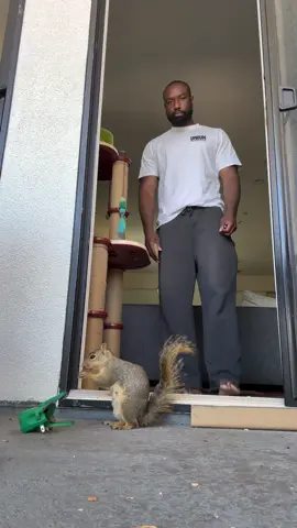 A post by @derrickdowneyjr on TikTok caption: Won’t even let me hold a dollar and I know she got it!! 🤦🏾 🐿️