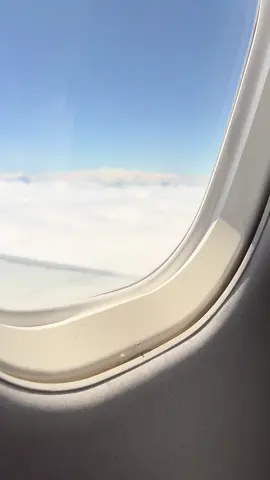 A post by @ferretbrowne on TikTok