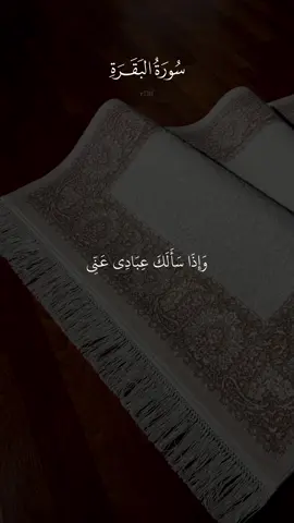 A post by @r7lff on TikTok caption: تدبروا الآيات #quran_alkarim #quran #قران_كريم #قران #مشاري_الفاسي 