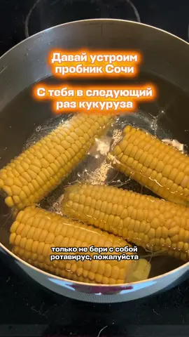 A post by @aviasales on TikTok caption: отправь тому самому