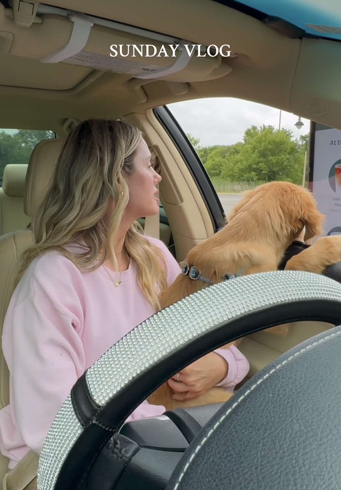 A post by @melissa_fakler on TikTok caption: Sunday errands & pup training ☕️🐾🛒 #spendthedaywithme #dayinmylifevlog #errands #diml #pupcup #asmr #goldenretriever  