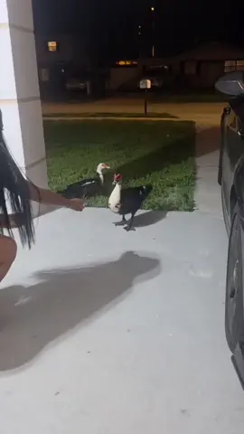 A post by @_eslaurita on TikTok