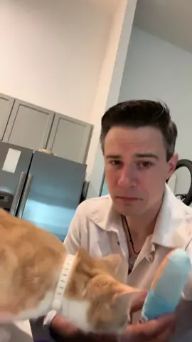 A post by @jacqueszewhipper on TikTok caption: Scipio is a boi of *certain tastes* #funfunfun #superman #mrterrific #fyp 