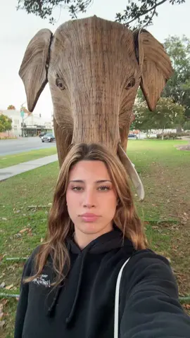 A post by @nicoleegomezc on TikTok