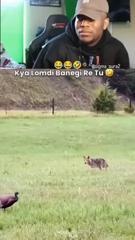 A post by @blackhole990 on TikTok caption: #foryou #sofunny #animal #funnyvideos #funnycontent @🇧🇷চেয়ারম্যান শাহআলমতালুকদার 