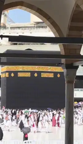 A post by @queen_sheizadi on TikTok