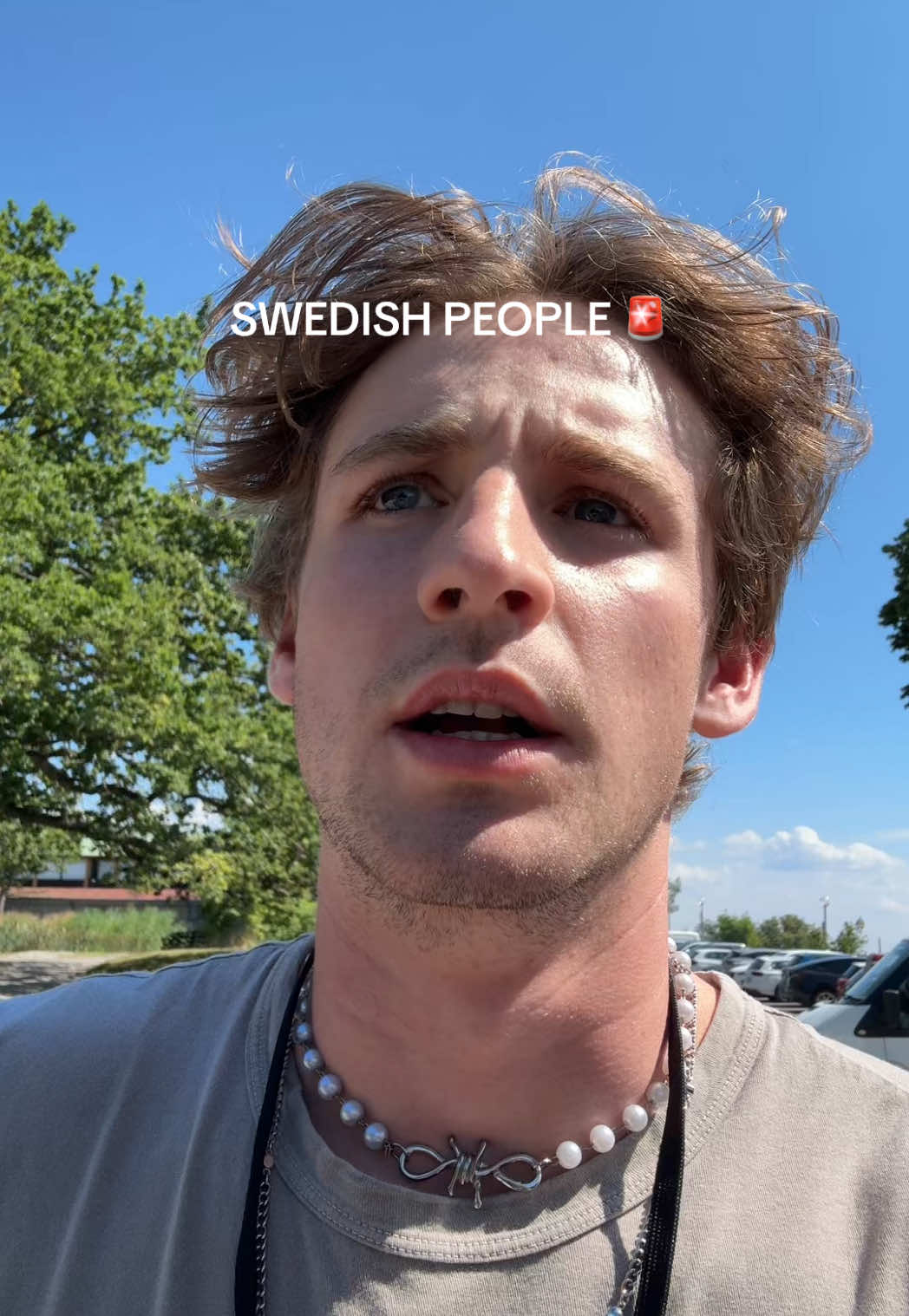 A post by @magnusferrell on TikTok caption: ALLSÅNG PÅ SKANSEN #sverige 