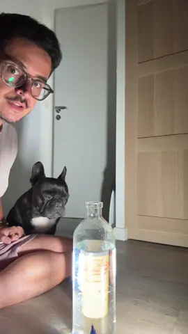 A post by @noholito on TikTok caption: Encore un raté