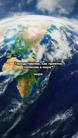 A post by @aviasales on TikTok caption: жесть 