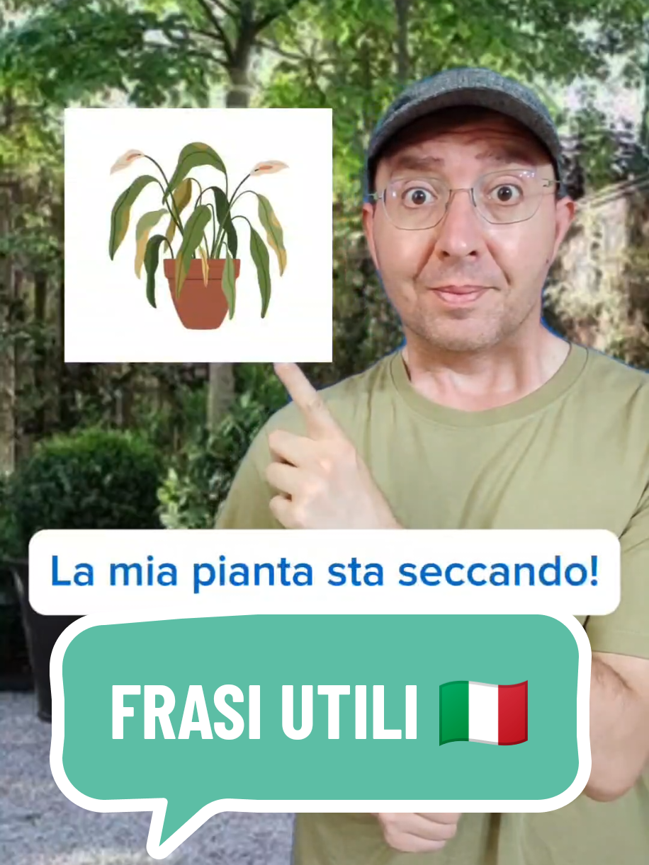 A post by @funandeasyitalian on TikTok caption: 🔴FRASI UTILI 🇮🇹 🔶Alcune frasi quotidiane 🤓 1️⃣OH, NO! LA MIA PIANTA STA SECCANDO! 🇬🇧Oh, no! My plant is drying up! 🇪🇸¡Oh, no! Mi planta se está secando! 2️⃣PRENDO UN ANNAFFIATOIO/ INNAFFIATOIO  🇬🇧 I take a watering can. 🇪🇸 Cojo/Tomo una regadera. 3️⃣LO RIEMPIO D'ACQUA 🇬🇧 I fill it with water. 🇪🇸 La lleno de agua.  4️⃣ANNAFFIO/INNAFFIO LA MIA PIANTA 🇬🇧 I water my plant. 🇪🇸 Riego mi planta. 5️⃣SPERIAMO CHE NON SIA TROPPO TARDI 🇬🇧 Let's hope it is not too late. 🇪🇸 Esperemos que no sea demasiado tarde.  Un abbraccio e a presto! 😉 Marco #lezioniditaliano #aulasdeitaliano #italianteacher #falaitaliano #palavrasitalianas #italianusefulphrases #frasiutili #italianlessons #clasesdeitaliano #corsoditaliano #italiancourse #cursodeitaliano #aprenderitaliano 