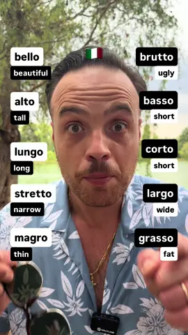 A post by @theitalianlanguageboss on TikTok caption: #italianlanguage #italianonline #learnitalianonline #onlinelearning 