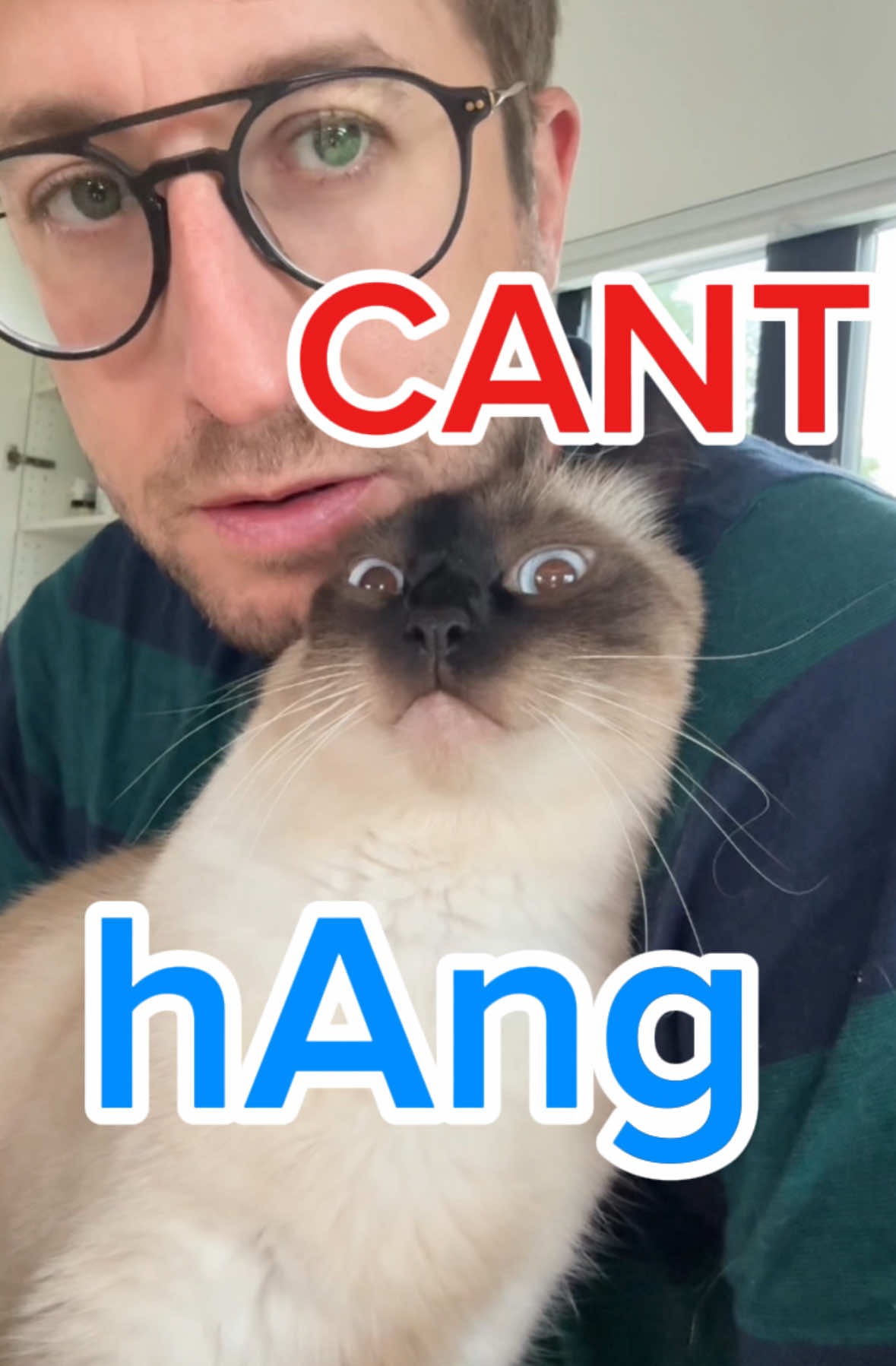 A post by @mervthecat on TikTok caption: WAT IM DOiNG WEN I SAY NO CANT HANG OUT, LMOA #bagagwa #catsoftiktok #tsitp #funny #meme #meow