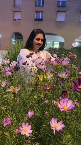 A post by @triptyakhand on TikTok caption: #foryou #foryourpage #fypシ゚viral #tiktokfrance🇨🇵 