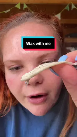A post by @chuglygirl on TikTok caption: The wax pot is in my showcase for those that have asked.. No dinner tonight but enjoy this wax with me instead #waxwithme #fyp