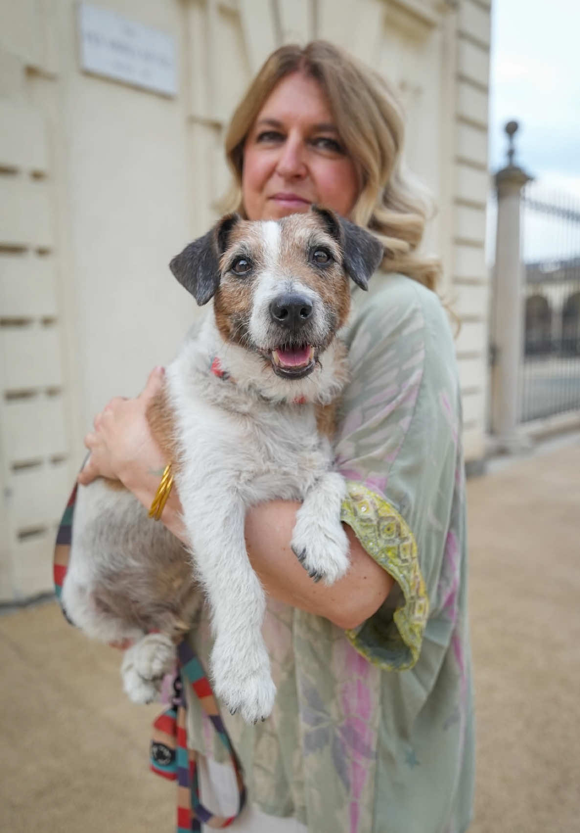 A post by @doggodaiily on TikTok caption: Biscotto 🥰❤️ A febbraio ci avevano detto che sarebbe successo qualcosa di brutto. Hanno trovato un tumore al cuore di Biscotto. E quando ti dicono che il tuo cane — il compagno della tua vita per 14 anni — sta male, è devastante. È stato difficile, ma ora siamo quasi ad agosto e siamo ancora qui. Abbiamo trovato un nostro equilibrio, e viviamo ogni giorno come se fosse un regalo. Forse è così che dovremmo vivere sempre. Biscotto mi ha insegnato tantissimo. Noi umani ci affanniamo, ci arrabbiamo, vogliamo sempre di più. Ma i cani? A loro basta poco: una pallina, la pancia piena e il loro umano. E sono al settimo cielo. È stato un amore puro, totale. Non pensavo si potesse volere così bene a un animale, ma mi è successo. È stato davvero il grande amore della mia vita, e condividere questi anni con lui è stato un privilegio immenso. , #caniditorino #jackrussel 