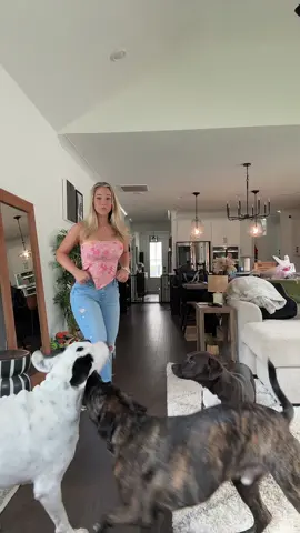 A post by @ashleyylreyy on TikTok caption: pure mayhem help