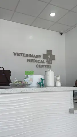 A post by @x.ody on TikTok caption: link on ig 😝 #vlogs #spendthedaywithme #frenchie #vet @Veterinary Medical Center 