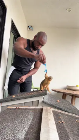 A post by @derrickdowneyjr on TikTok caption: Sticky situation 