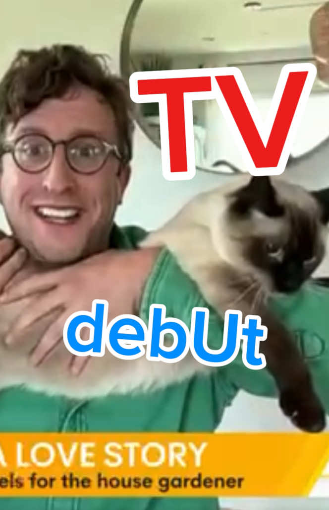 A post by @mervthecat on TikTok caption: MERV ON TV THANK U @Sunrise #australia #bagagwa #catsoftiktok #news