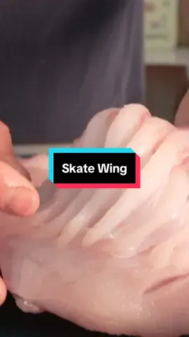 A post by @by_the_water on TikTok caption: Would You Eat a Skate? #seafood #skate #fish