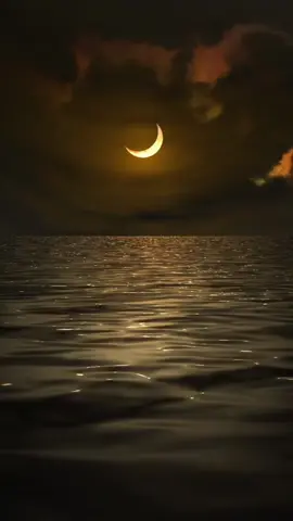 A post by @dhaalmujaahiid6 on TikTok