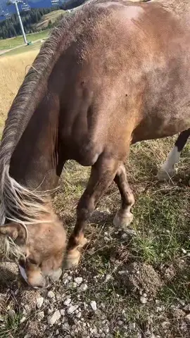 A post by @moslim987788 on TikTok
