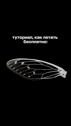 A post by @aviasales on TikTok caption: сохраняйте 