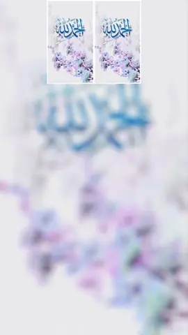 A post by @rumibegum794 on TikTok