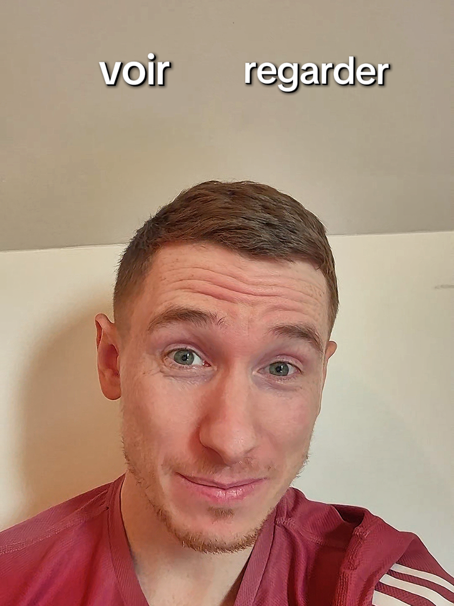 A post by @elmartino_french on TikTok caption: La différence en français entre voir et regarder #learnfrench  #apprendrelefrançais #education 