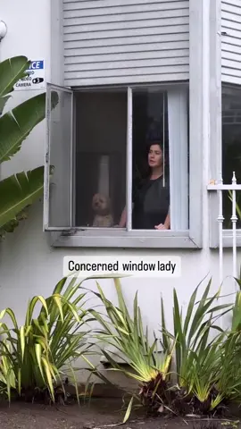 A post by @manonmathews on TikTok caption: Has anyone seen her??? Is everything okay? #comedy #rain #concern