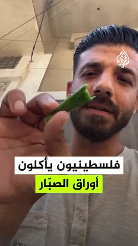 A post by @mohdadnan23 on TikTok caption: ياكلون اوراق الصبر لسد الجوع  #محمد_عدنان 