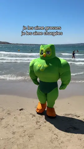 A post by @duolingofrance on TikTok caption: à la recherche de ma Gloria à la plage #duolingo 