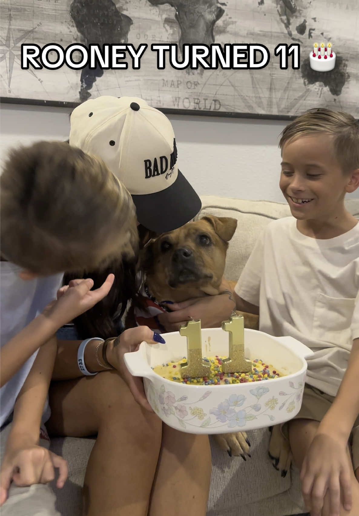 A post by @brittanyjade___ on TikTok caption: You gotta watch this one till the end. 🥺 Our Rooney turned 11 this month 😭🎂 Best 11 years of our life. ♥️🐕 #rescuedog #dogbirthday #carolinadog #dogsarethebest
