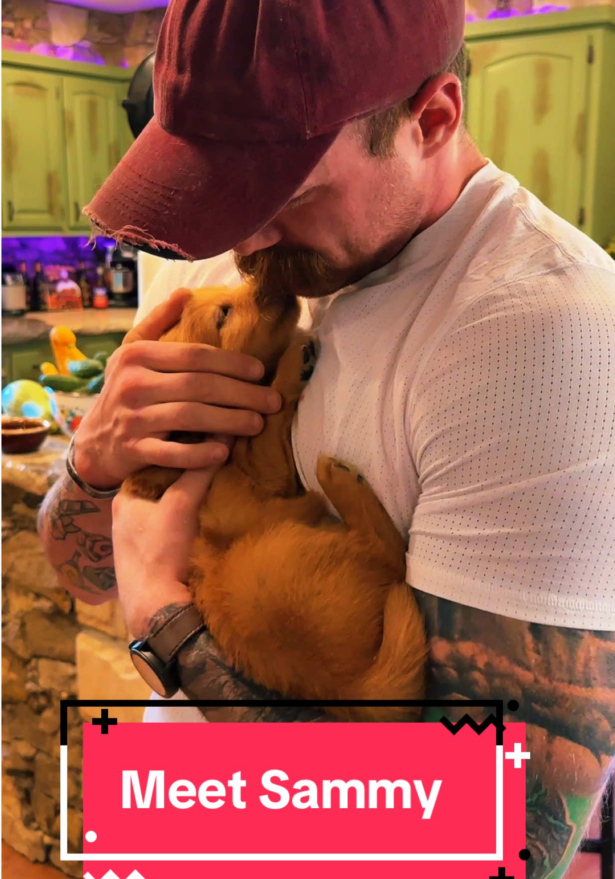 A post by @scotty.k.fitness on TikTok caption: She chose me 💜 #MentalHealth #anxiety #hope #ptsd #cptsd #dog #doggo #servicedog #happy #sam #my #puppy #bestfriend #soulmate 