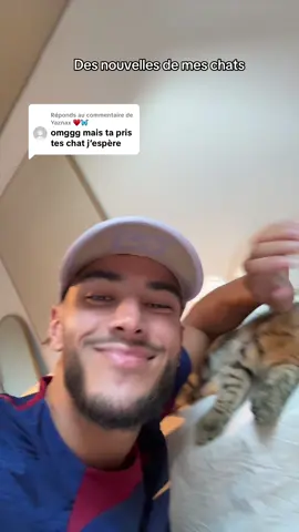 A post by @illyeskays on TikTok caption: Réponse à @Yaznax ♥️🦋  Jamais loin de leur papa 🫶🏽 Utilisez le code ILLYESKAYS25 pour bénéficier de 25€ offert pour toute souscription d’une mutuelle animale chez Barkibu 🐱🐶 