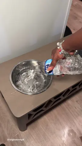 A post by @reignstormpit on TikTok caption: Lets deep clean my dogs bowls 🧼🫧🧽  #asmr #asmrsounds #CleanTok #cleaning #satisfying #foryou #viral #dogsoftiktok #dogmom #aesthetic 