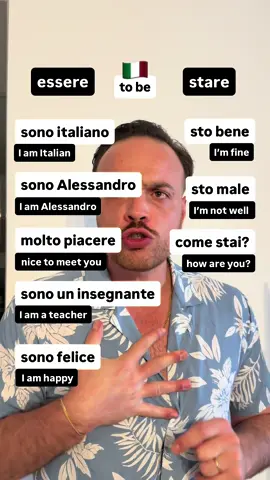 A post by @theitalianlanguageboss on TikTok caption: #italianlanguage #italianonline #learnitalianonline #onlinelearning 