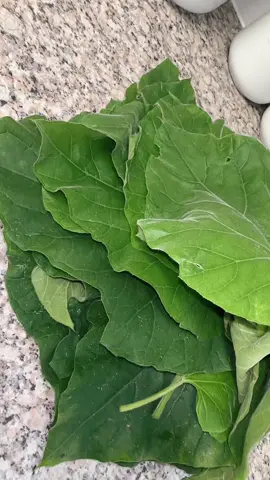 A post by @tanneyuddin696 on TikTok caption: #foryourpage#fypシ゚viral🖤tiktok☆♡🦋myvideo#@Mathab uddin 