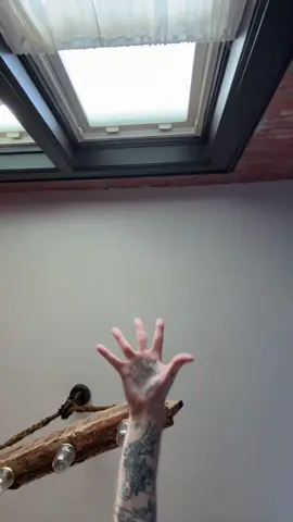 A post by @repairman67 on TikTok