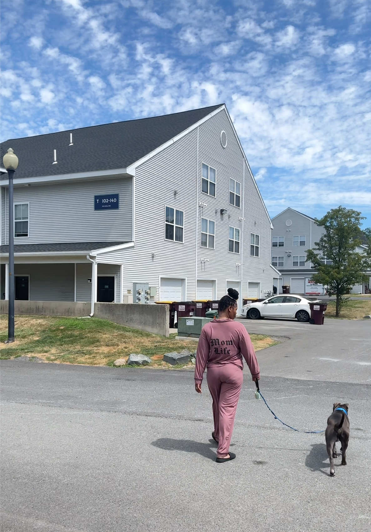 A post by @isistkeyah on TikTok caption: My House is a mess time to get it back in order cause I can’t think straight 🤦🏽‍♀️😮‍💨 #fyp #isistkeyah #momsoftiktok #twinmom #twinsisters #identicaltwins #sisters #braiding #stitchbraids #walkingdog #pitbull #pluto #afternoonwalk #lunch #friedchicken #cleaning #amess #deepclean #routine #productiveday #toddlers #organizing #momlife #newcurtains  #washermachine 