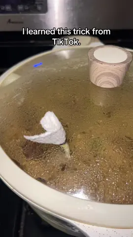 A post by @shereen7492 on TikTok caption: Guess what I’m cooking? 😋  . . . . . #fyp #shereen749 #tiktokcreatorsearchinsightsincentive #desitiktok #tiktokhacks 