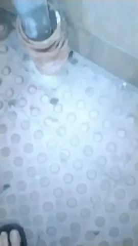 A post by @elmaestromiami on TikTok caption: al jeke y al grillo de pelegri marca lasgosta nos va decir si sabemos cantar jajaja enga ya con el caldo puxero calentito te quiere er peregril asopla hay papapapa 