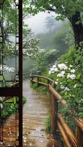 A post by @dhaalmujaahiid6 on TikTok